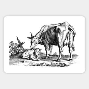 Cow with Calf Rustic Charm Scene Vintage Animal Illustration Magnet